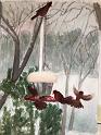 Winter Cardinals